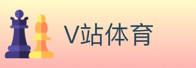 V站体育 logo